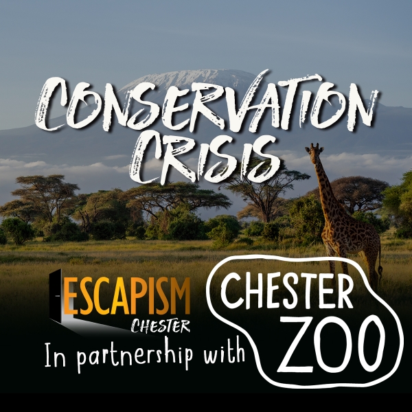 Exciting News: Escapism Chester and Chester Zoo Partner to Launch 'Conservation Crisis' Escape Room!